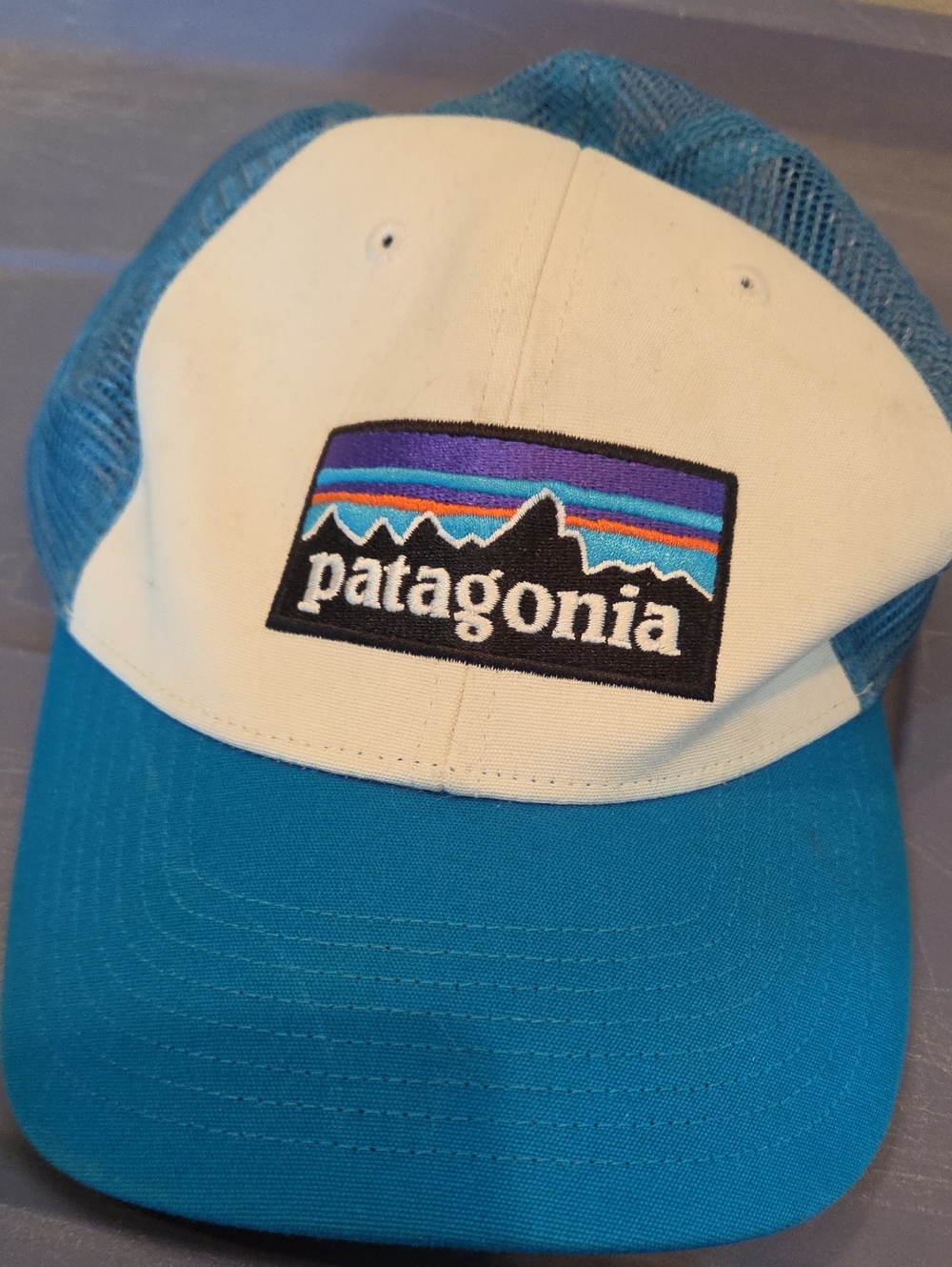 Patagonia Hat